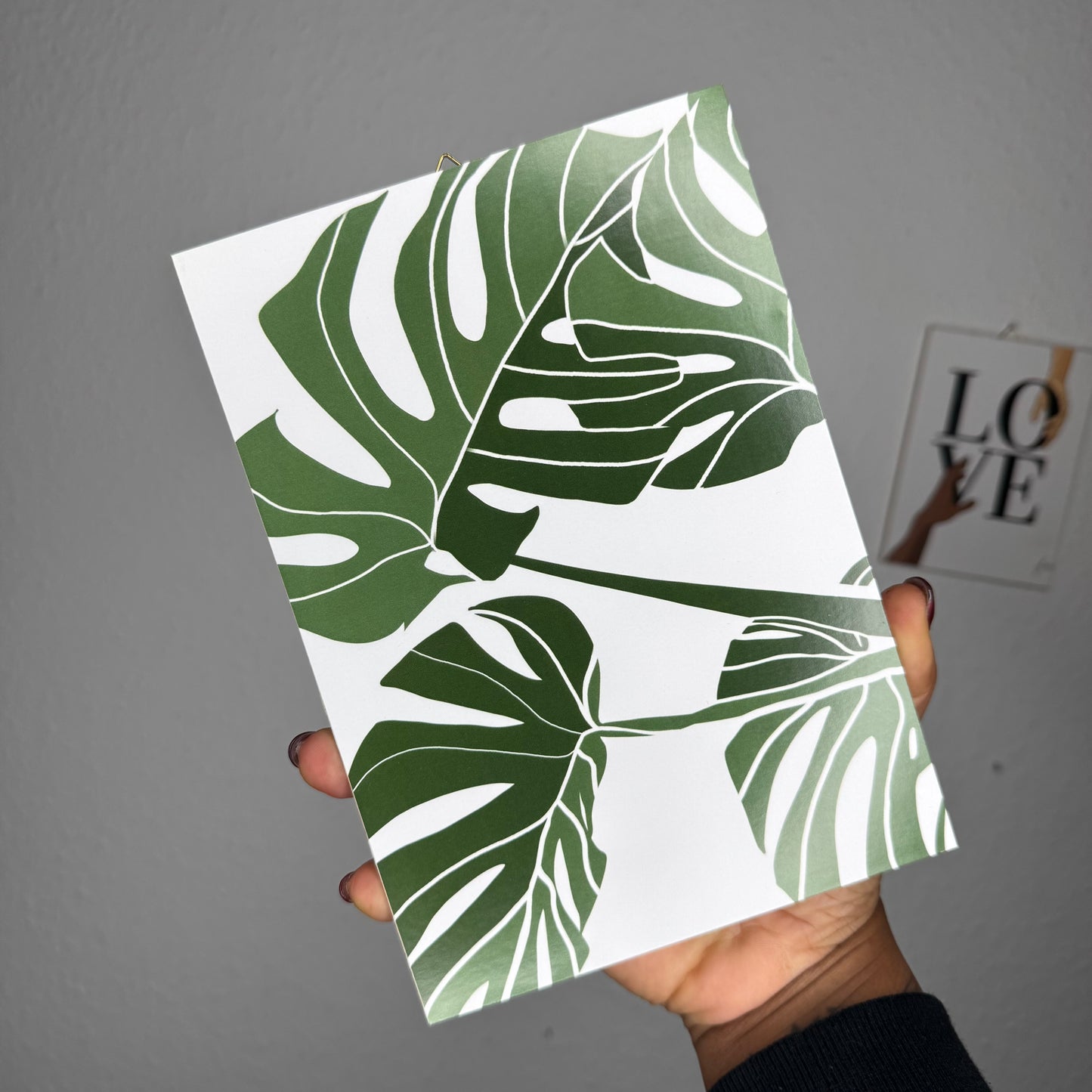 Monstera