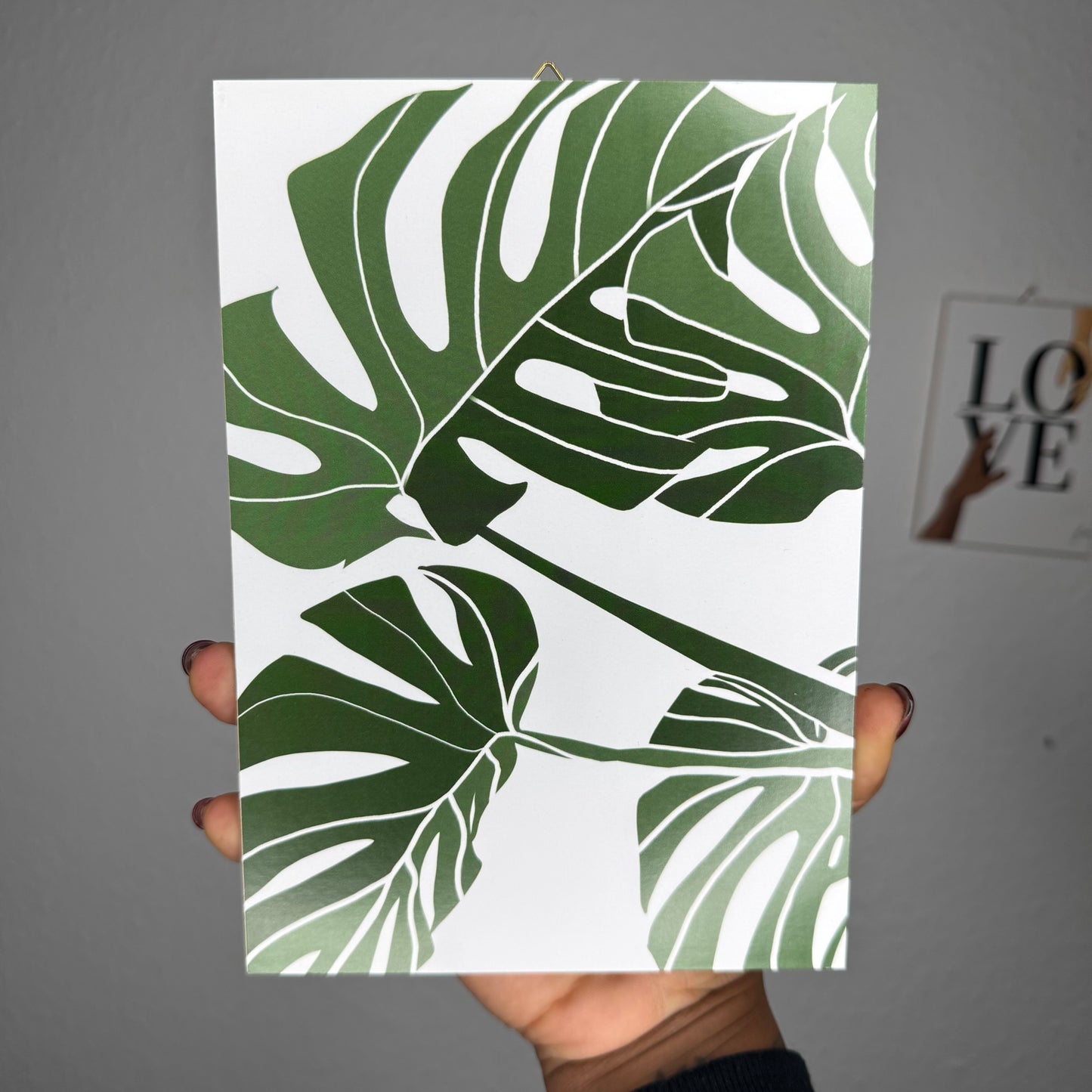 Monstera
